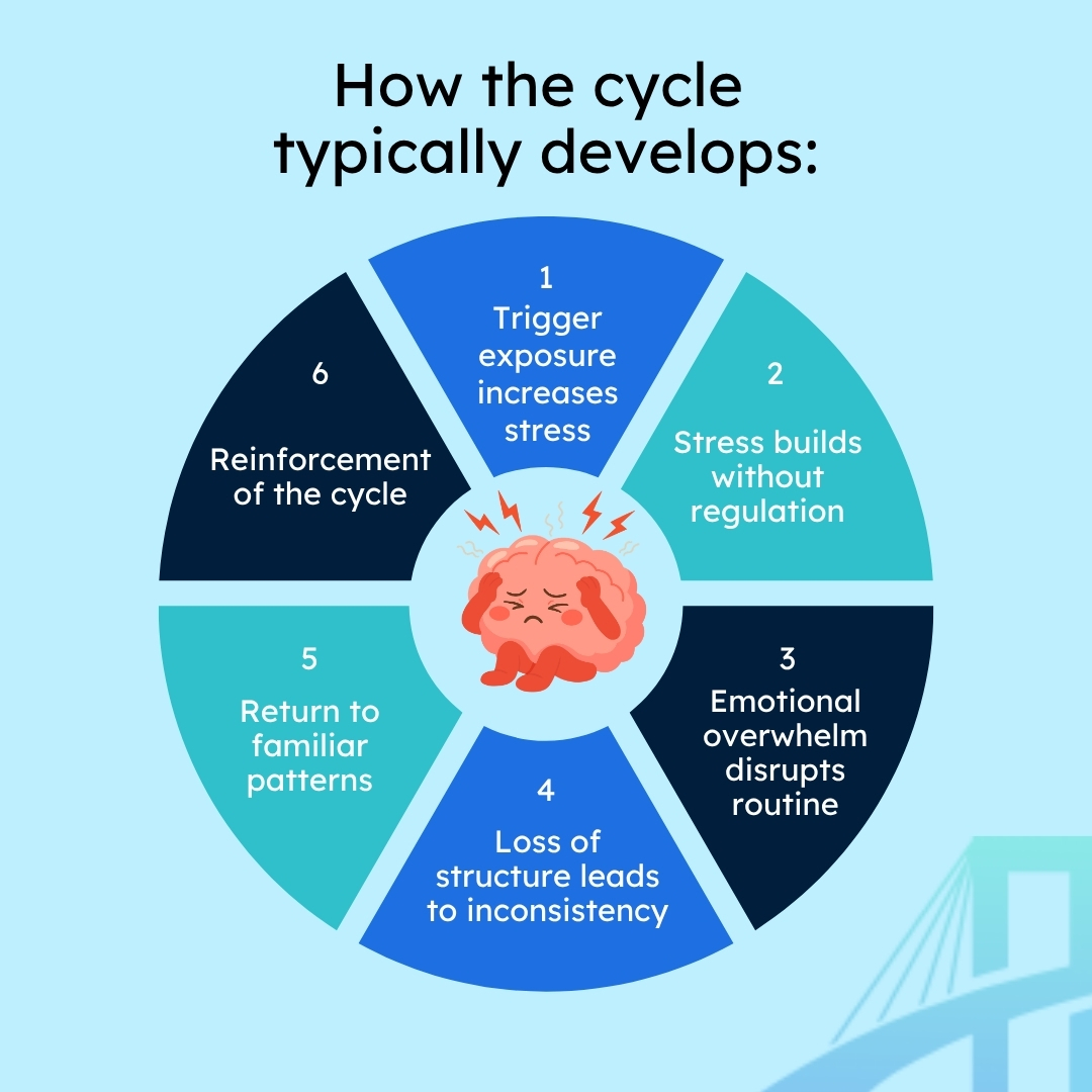 cycle-info